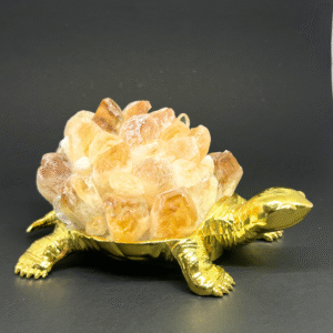 Citrine Turtle