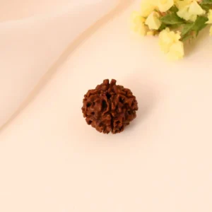 Authentic 4 Mukhi Rudraksha