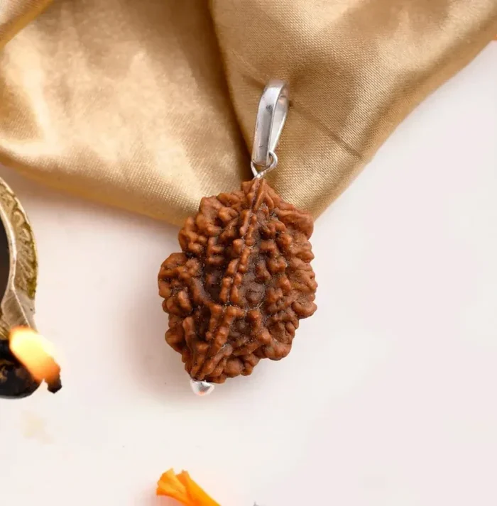Authentic 2 Mukhi Rudraksha (Nepali Dana)