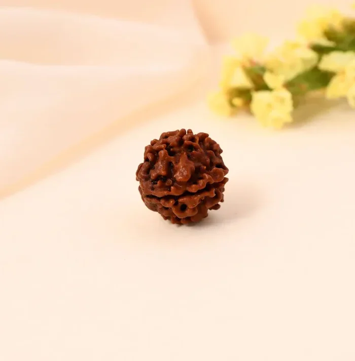 Authentic 5 Mukhi Rudraksha (Nepali Dana)