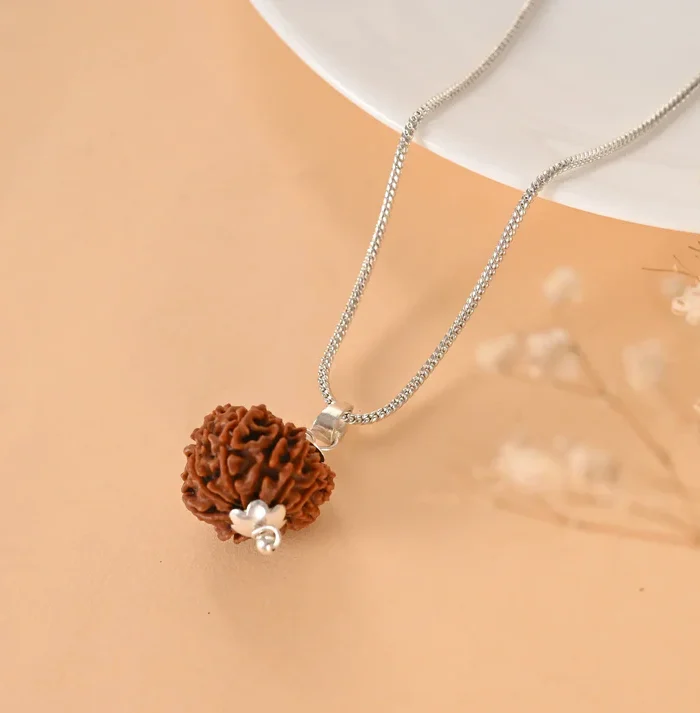 Authentic 10 Mukhi Rudraksha (Nepali Dana)