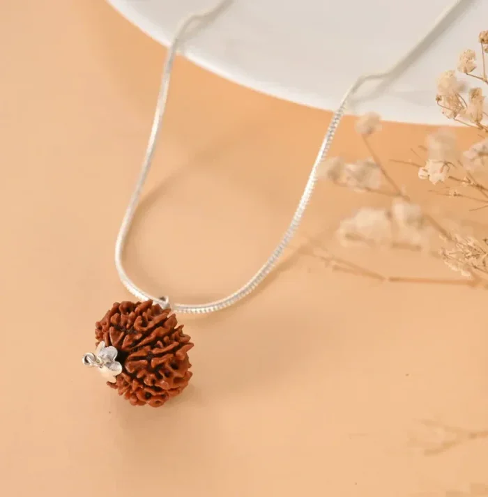 Authentic 11 Mukhi Rudraksha (Nepali Dana)