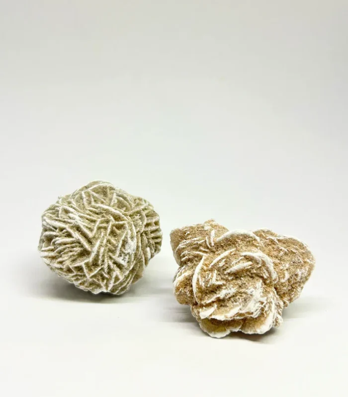 Desert Rose